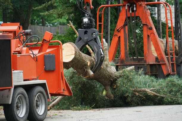 Mulching Services in Tompkinsville, KY